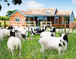 Special Offers 10 Holidays in Suffolk