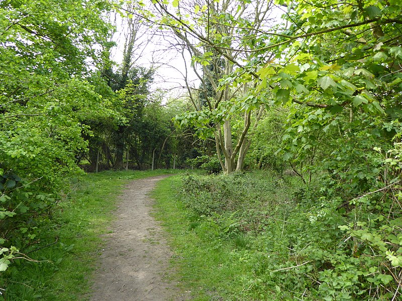 800px-gunton meadow 5